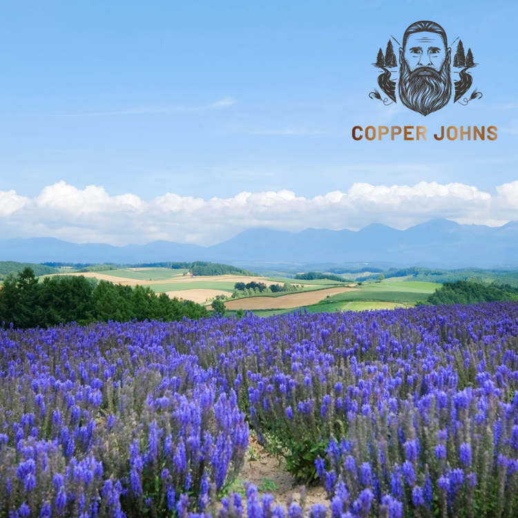 Beard and Hair Growth: The Power of Lavender Essential Oil