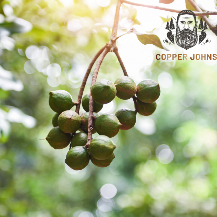 Beard and Hair Growth: The Power of Macadamia Nut Oil